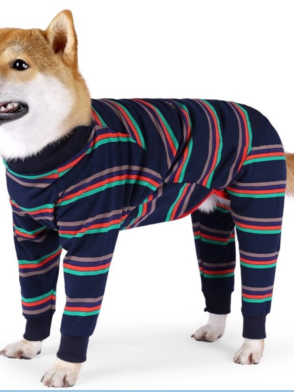 Amazon Navy Striped Dog Jumpsuit with Green and Red Accents